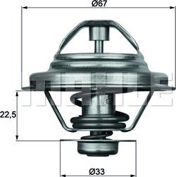 Wilmink Group WG1262719 - Termostatas, aušinimo skystis autoreka.lt