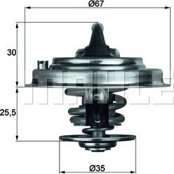 Wilmink Group WG1262735 - Termostatas, aušinimo skystis autoreka.lt