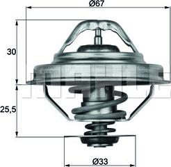 Wilmink Group WG1262730 - Termostatas, aušinimo skystis autoreka.lt