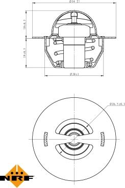 Wilmink Group WG2184748 - Termostatas, aušinimo skystis autoreka.lt