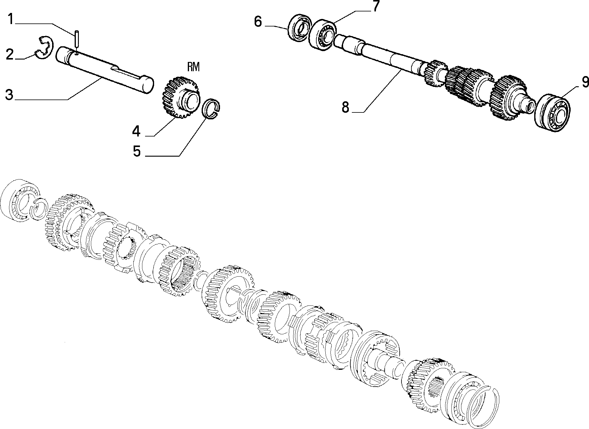 FIAT 26126889 - Veleno sandariklis, diferencialas autoreka.lt